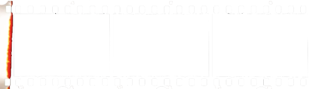 timelapsevideo.leonrose.co.nz Site